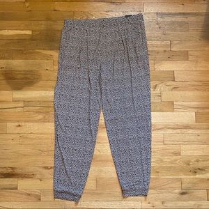Express Dress Joggers